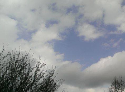 A heart-shaped glimpse of blue sky this afternoon.